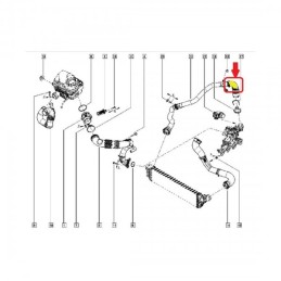 Turbínová hadice Renault...